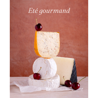 Atelier à domicile dégustation fromages